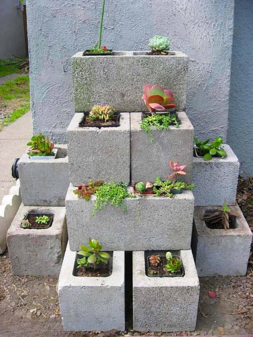 Cinder Block Succulent Wall