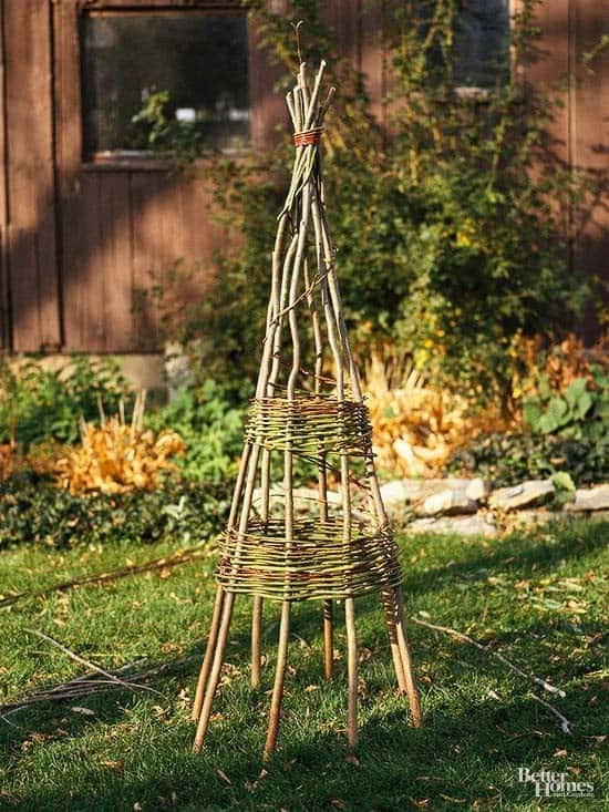 Willow Branch Pyramid Trellis