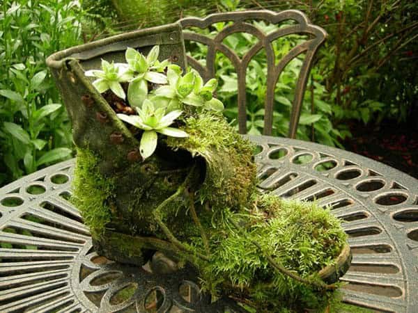 Let Nature Thrive in an Old Shoe Planter