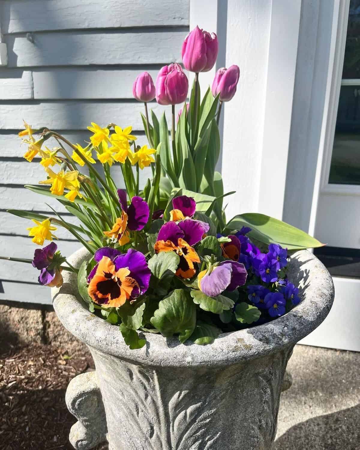 Vibrant Spring