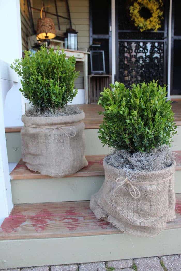 Transform Plastic Buckets into Rustic DIY Planters