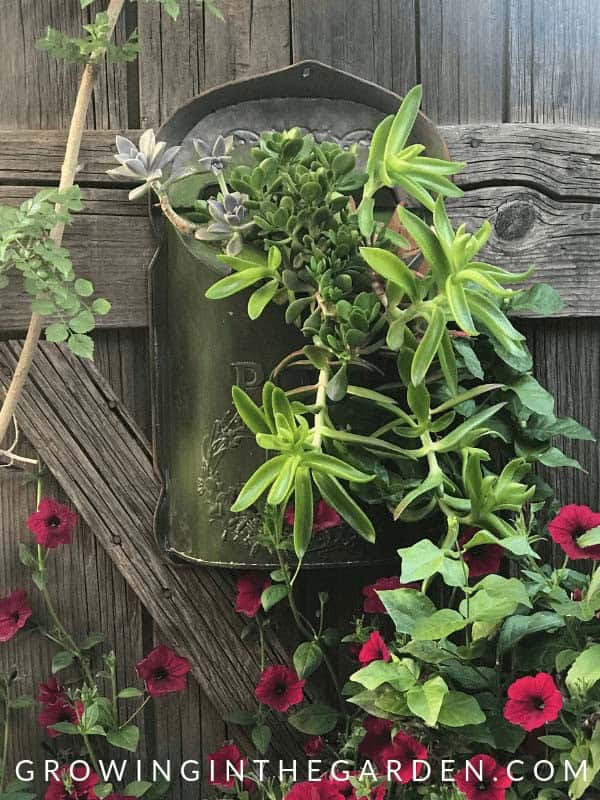 Vintage Post Box Hanging Garden Container