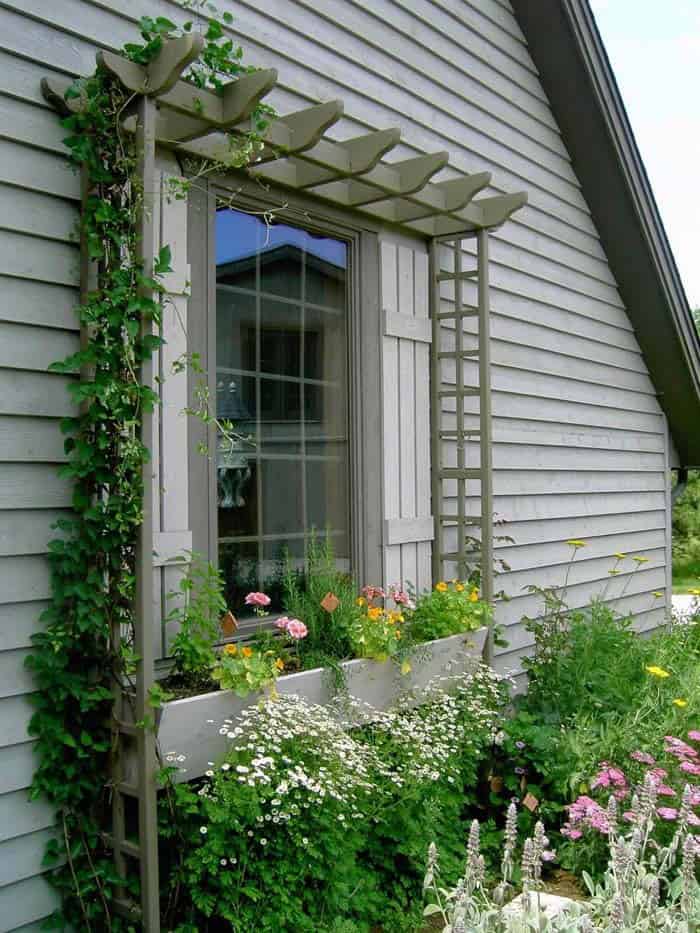 Adone Your Window with a Lattice Planter