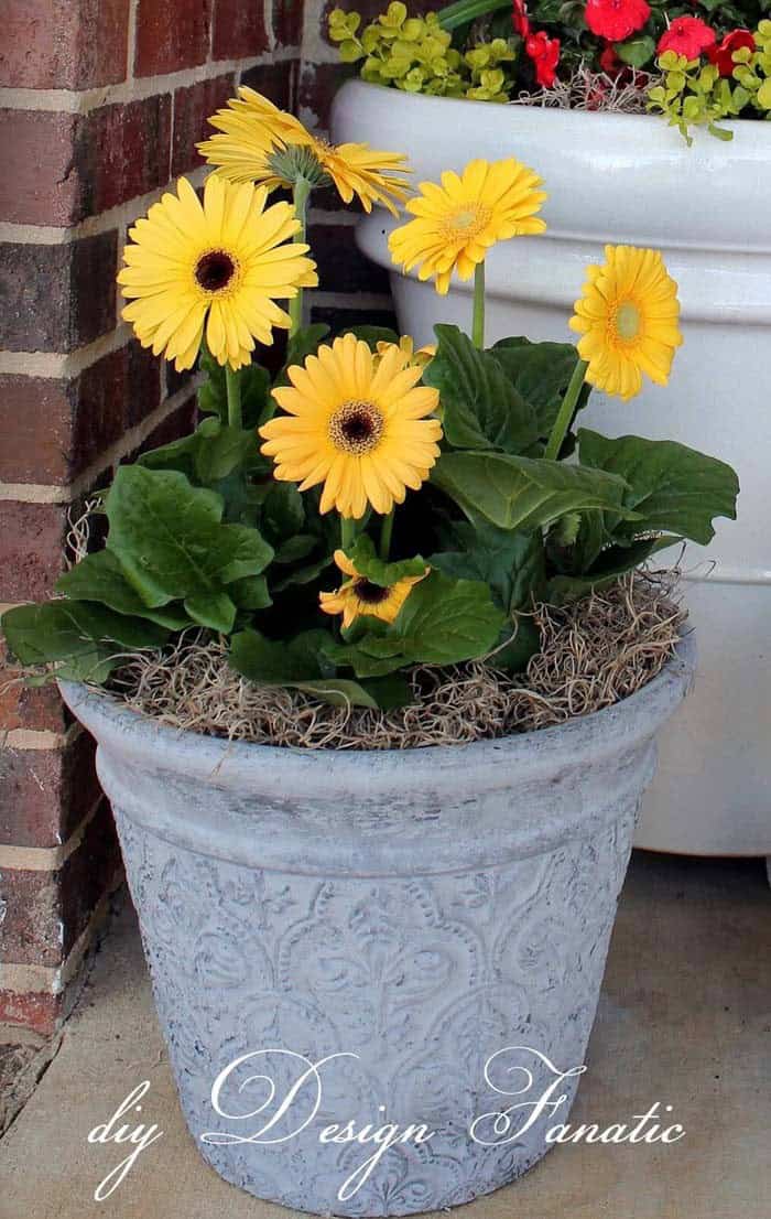 Add Vibrancy to Your Front Porch with a Thrifted Clay Pot