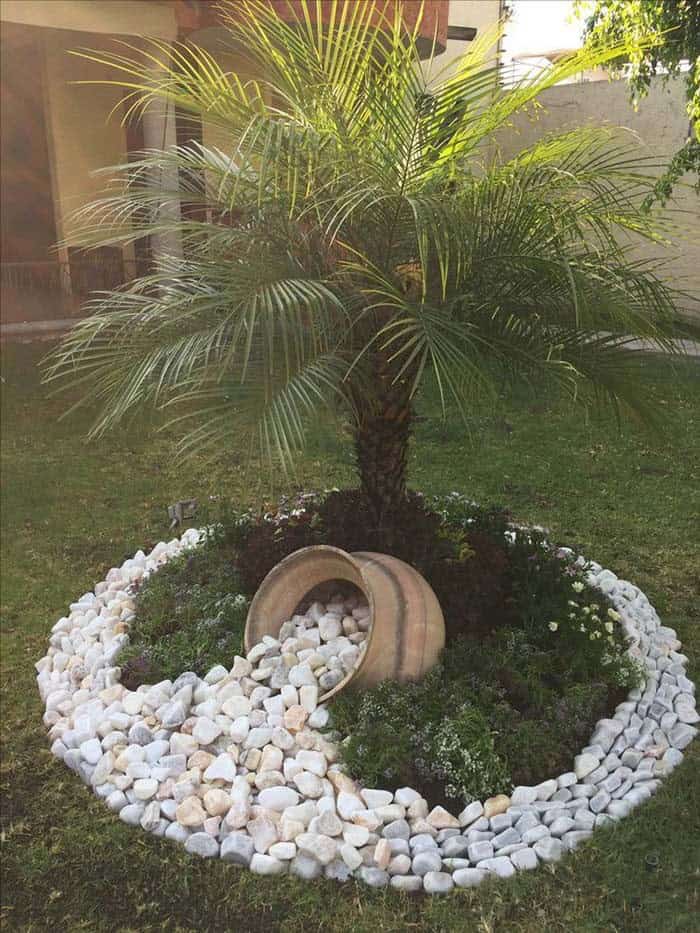 Dry Riverbed Edging Around Tropical Trees