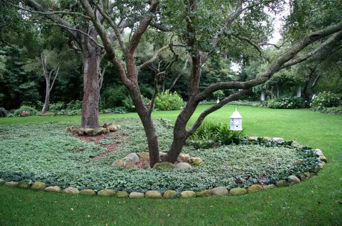 Create Inexpensive Edging Around Trees