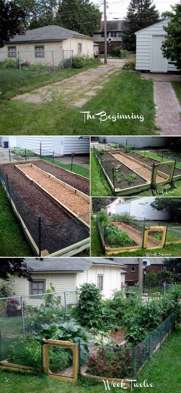 Benefits to Grow Your Own Vegetable Garden