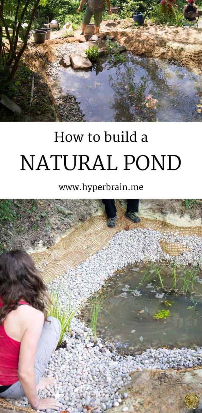 Make an Ecological Linerless Natural Pond