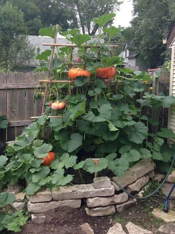 Raised Garden Bed With Quarry Stone