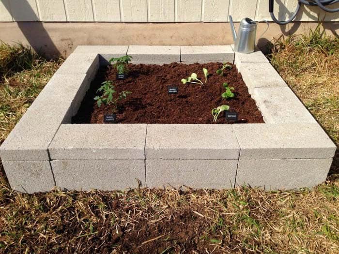 Build a Raised Garden Bed with Cinder Blocks