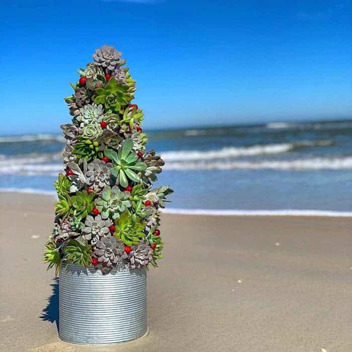 Bring Rustic Elegance with Tin Tub Succulent Tree