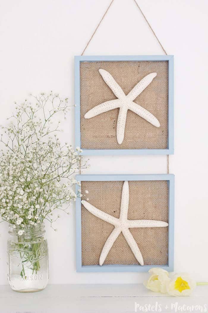 Build Shadowboxes to Display Starfish