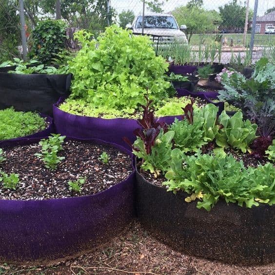 Fabric Raised Garden Beds Encourage Air Pruning