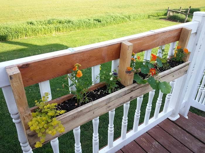 Elevate Your Deck with a Mounted Flower Box