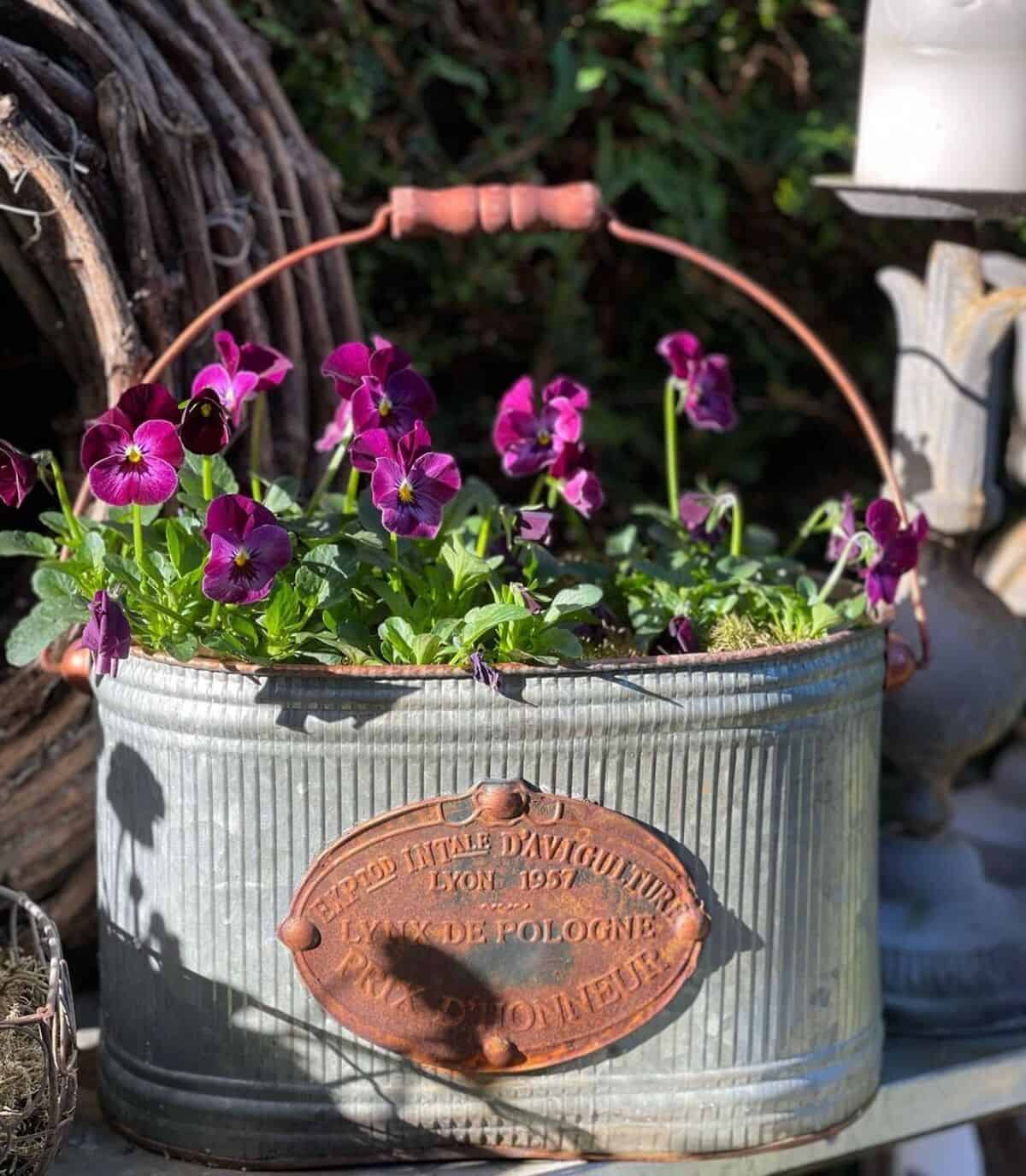 Vintage Flower Pot