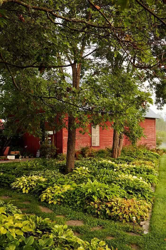 Magnify Home’s Curb Appeal with Trees and Small Flowers