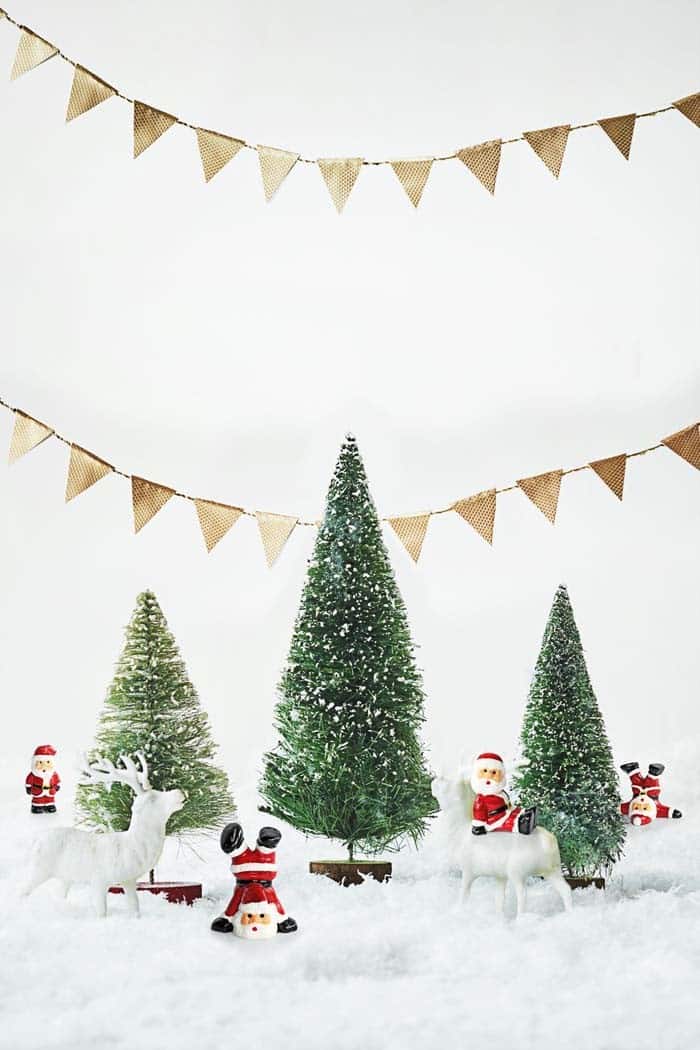 Snowy Santa Display