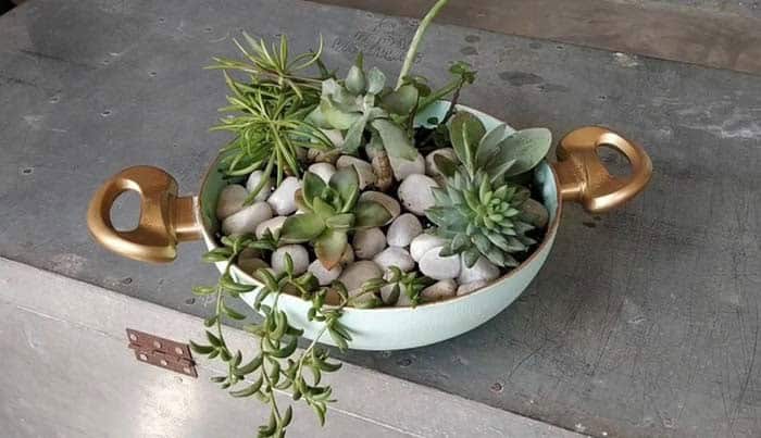 DIY Succulent Arrangement from a Damaged Frying Pan