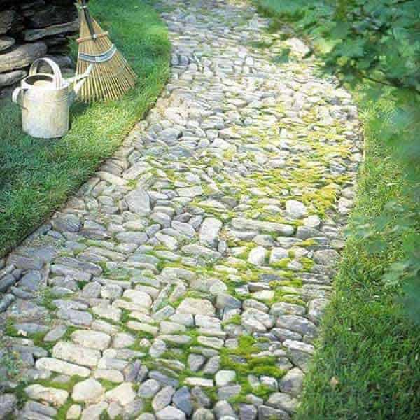 Rock Garden Path Idea