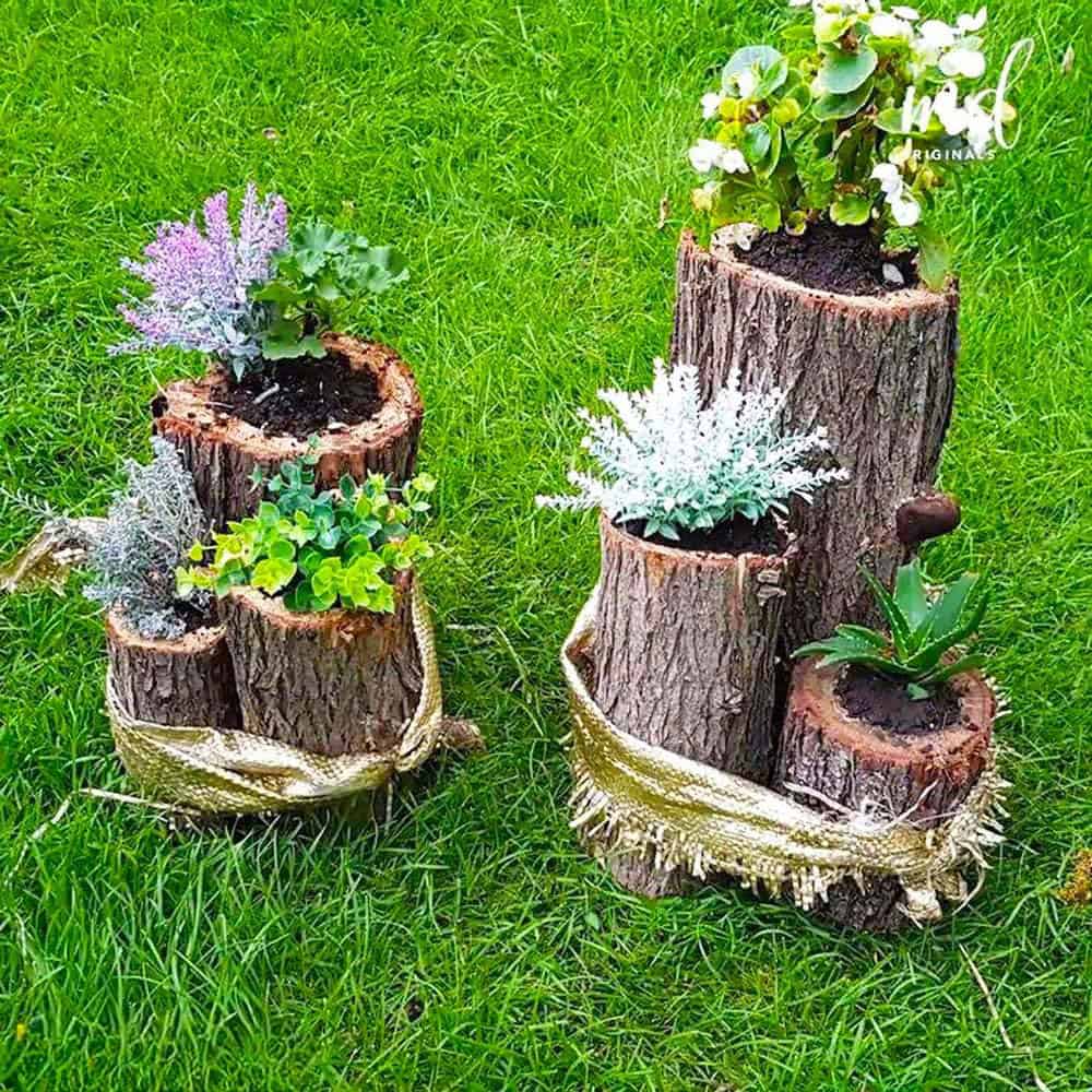 Natural Stump Planters