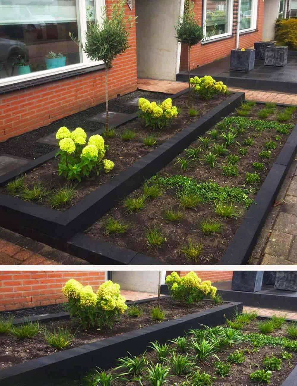 Modern Linear Planting