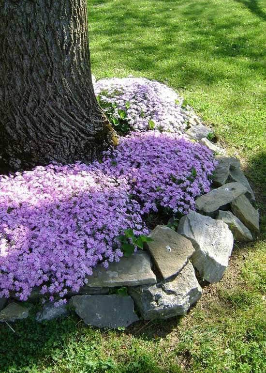 Another Easy Flower Bed Around Trees