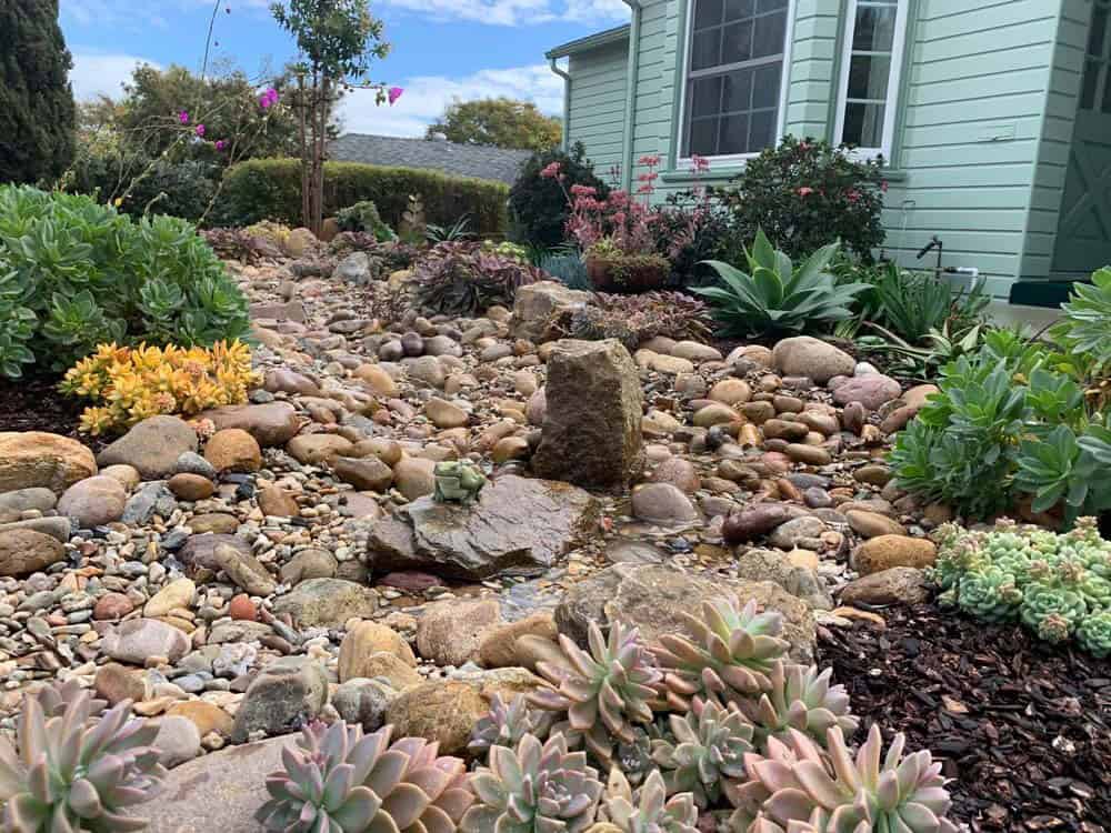 Dry Creek Garden