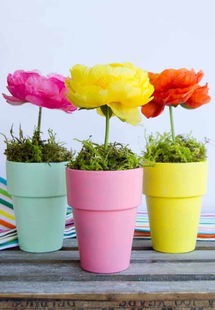 Upgrade Your Home Decor with Colorful Potted Flowers