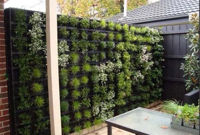 Succulent Wall Planter Adds Big Impact