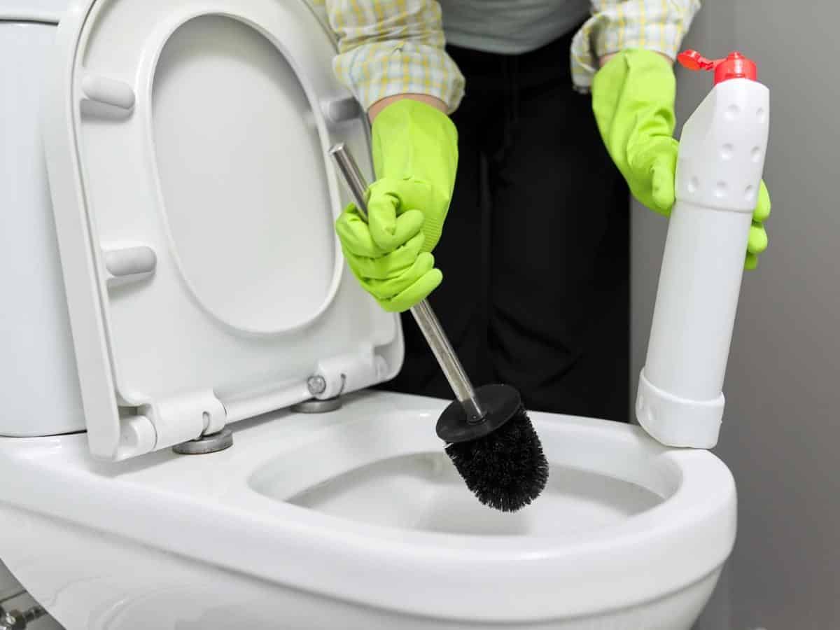 Sanitize and Dry Your Toilet Brush