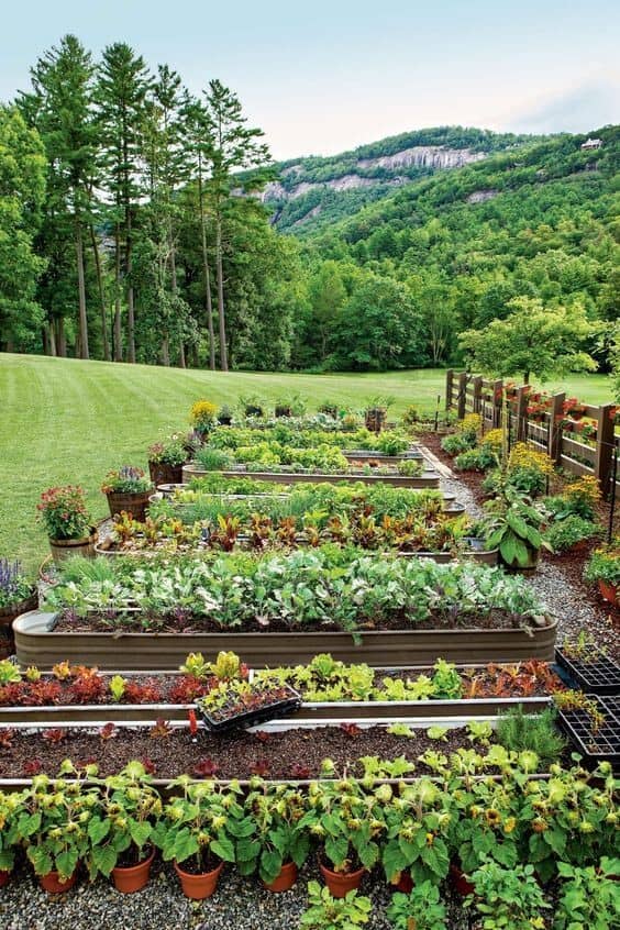 Powder-Coated Metal Raised Garden Beds