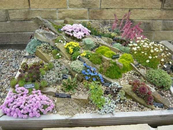 Make a Statement with a Versatile Mini Rock Garden