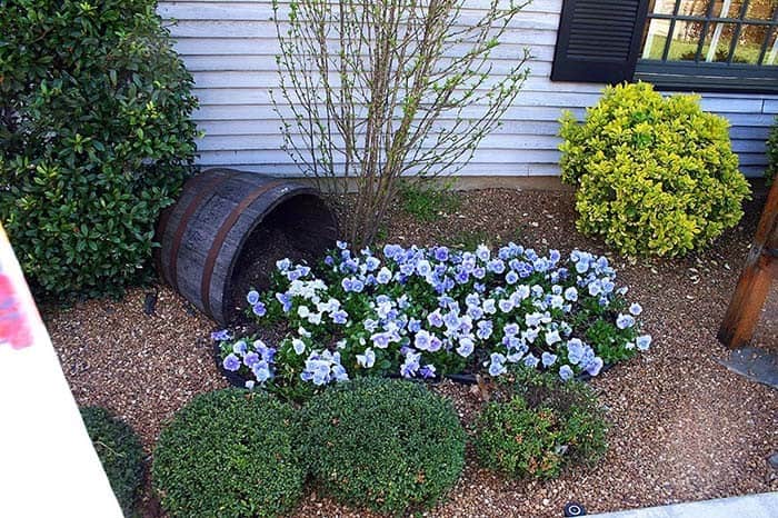 Bring Farmhouse Charm with a Vintage Bucket