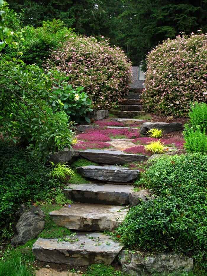 Modify Hillside Stairway with Creeping Thyme Ground Cover