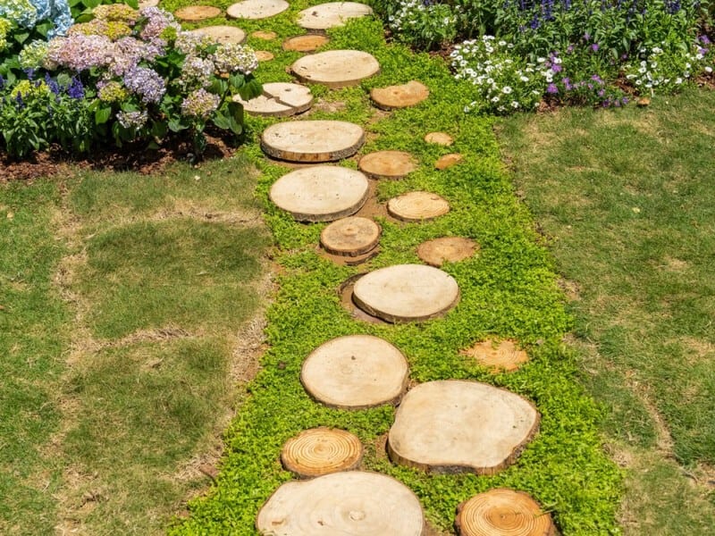 Wood Slices Path