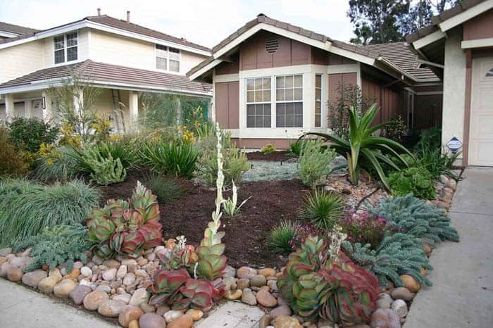 Drought Resistant Plants and Hardscaping Save Water