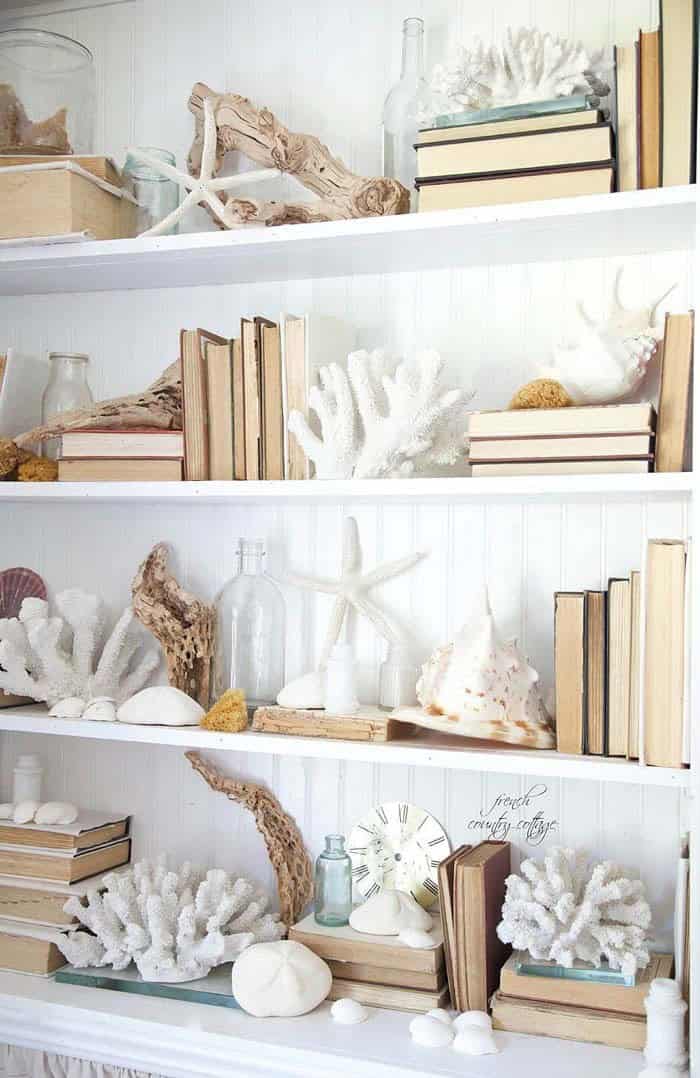 Enhance Your Bookshelves with Seashells