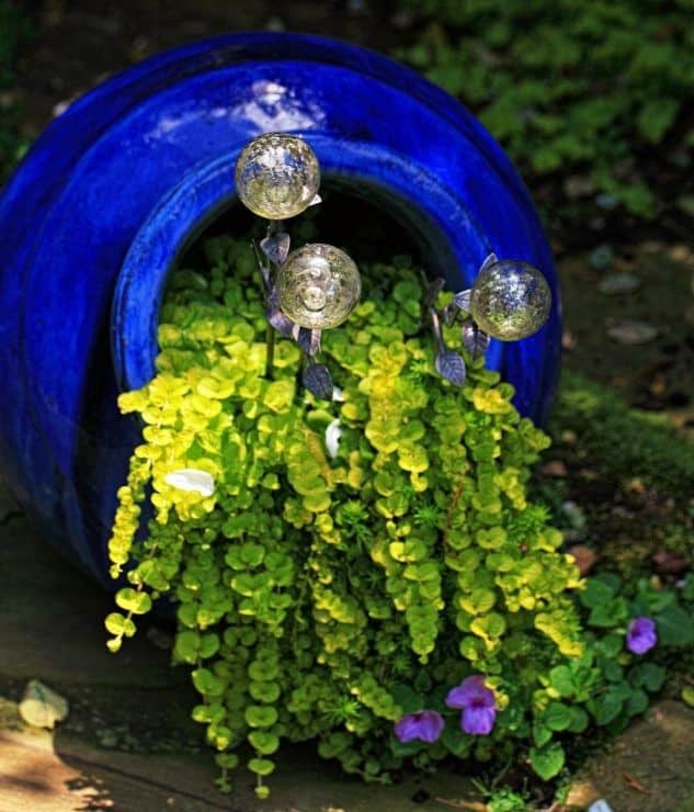 Turn Your Garden into a Dreamscape with a Blue Pot