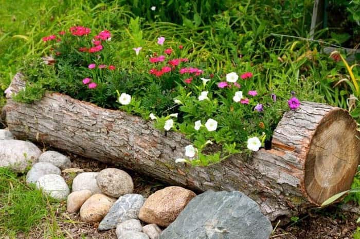 Create a Whimsical Log Flower Bed