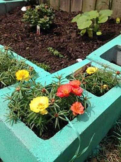 Green Paint Cinder Blocks