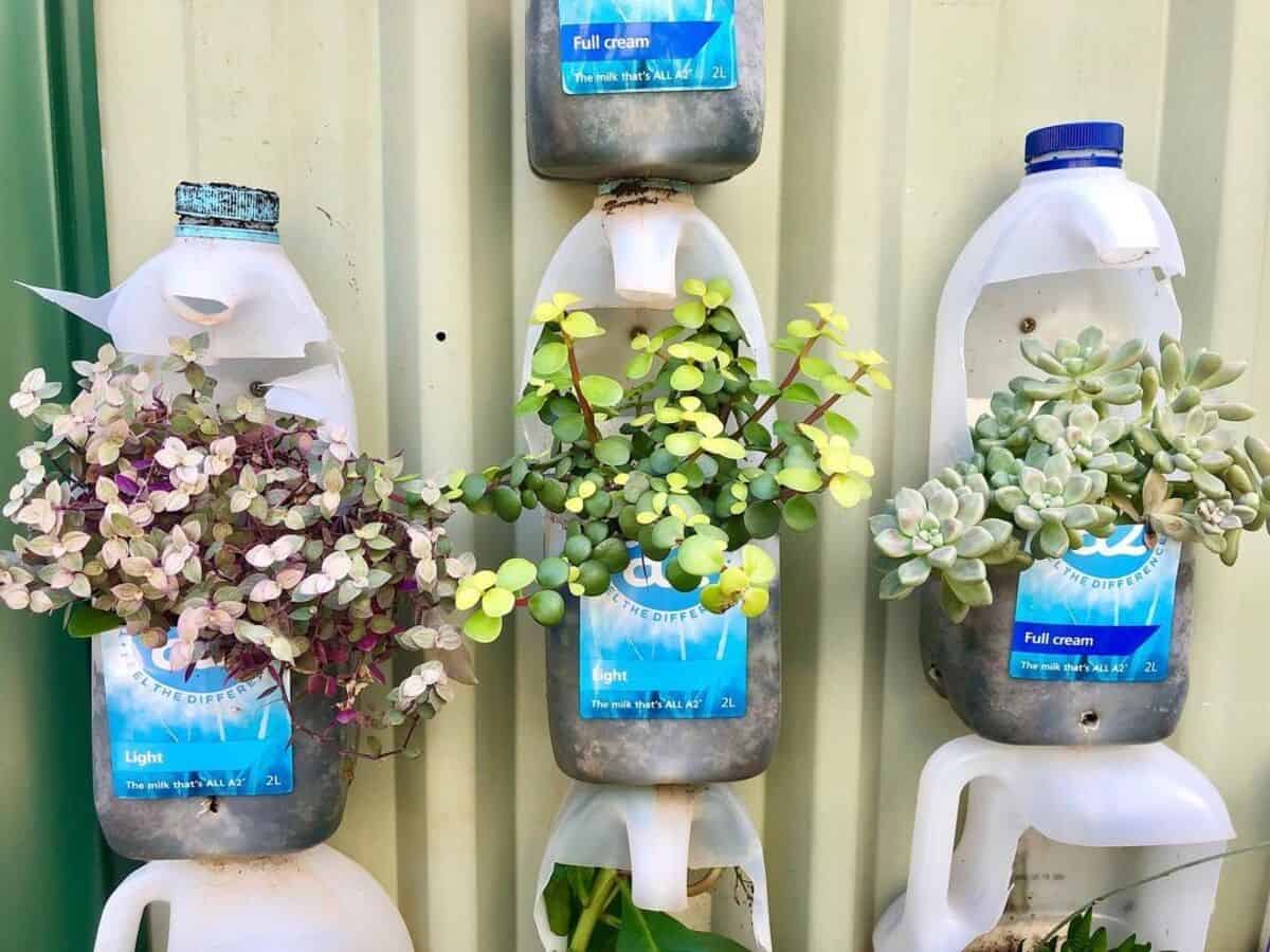 Recycled Flower Pots