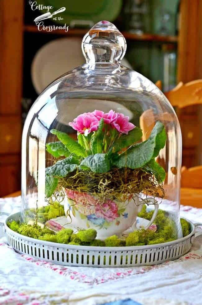 Capture the Essence of Spring with a Primrose Centerpiece