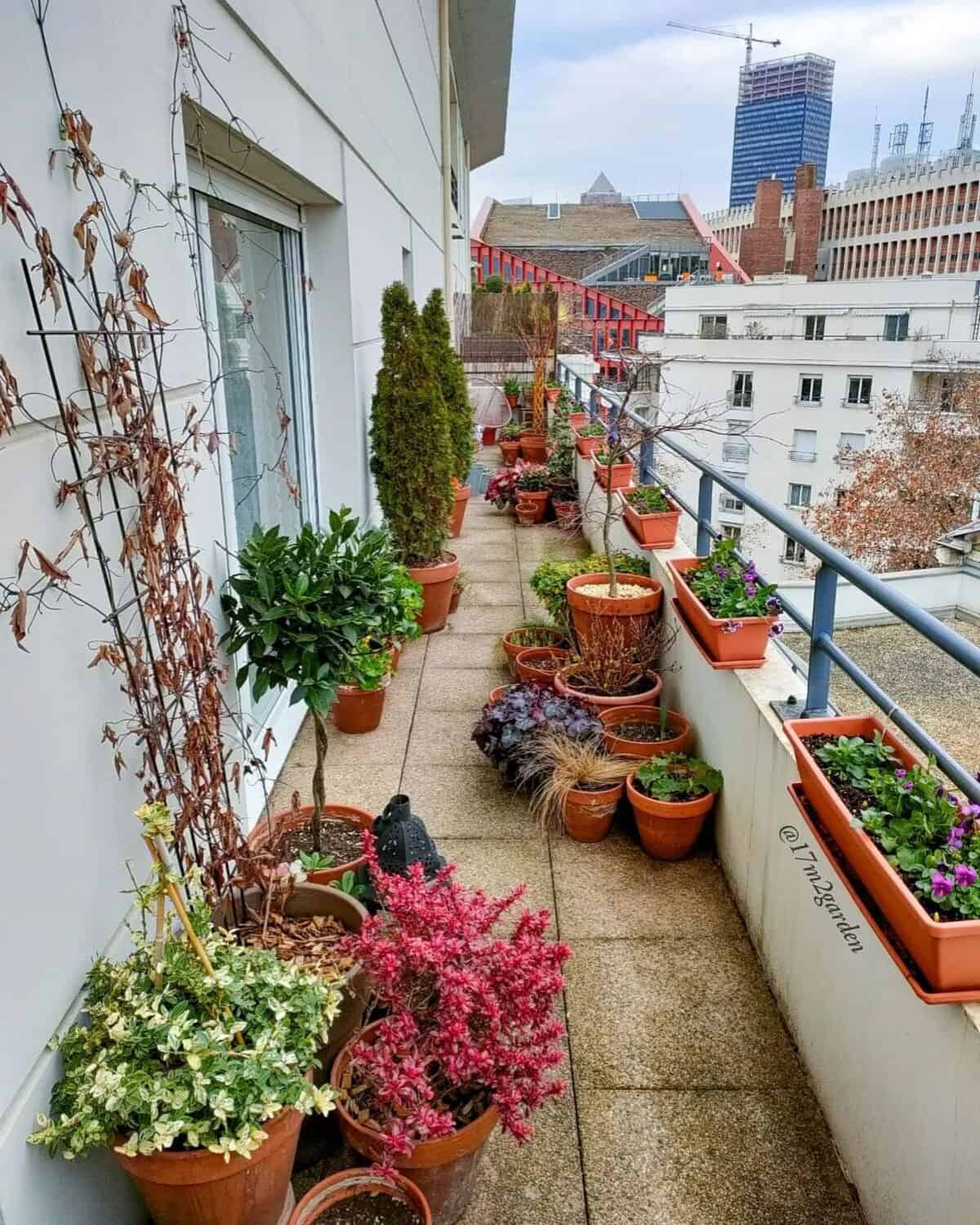 Balcony Garden