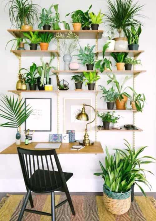 Maximize Your Gardening Space with Floating Shelves