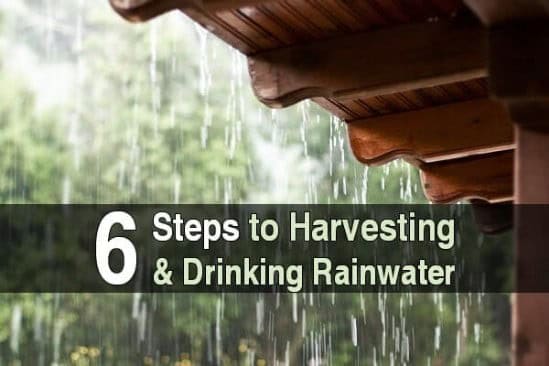 Reduce Water Dependence By Harvesting