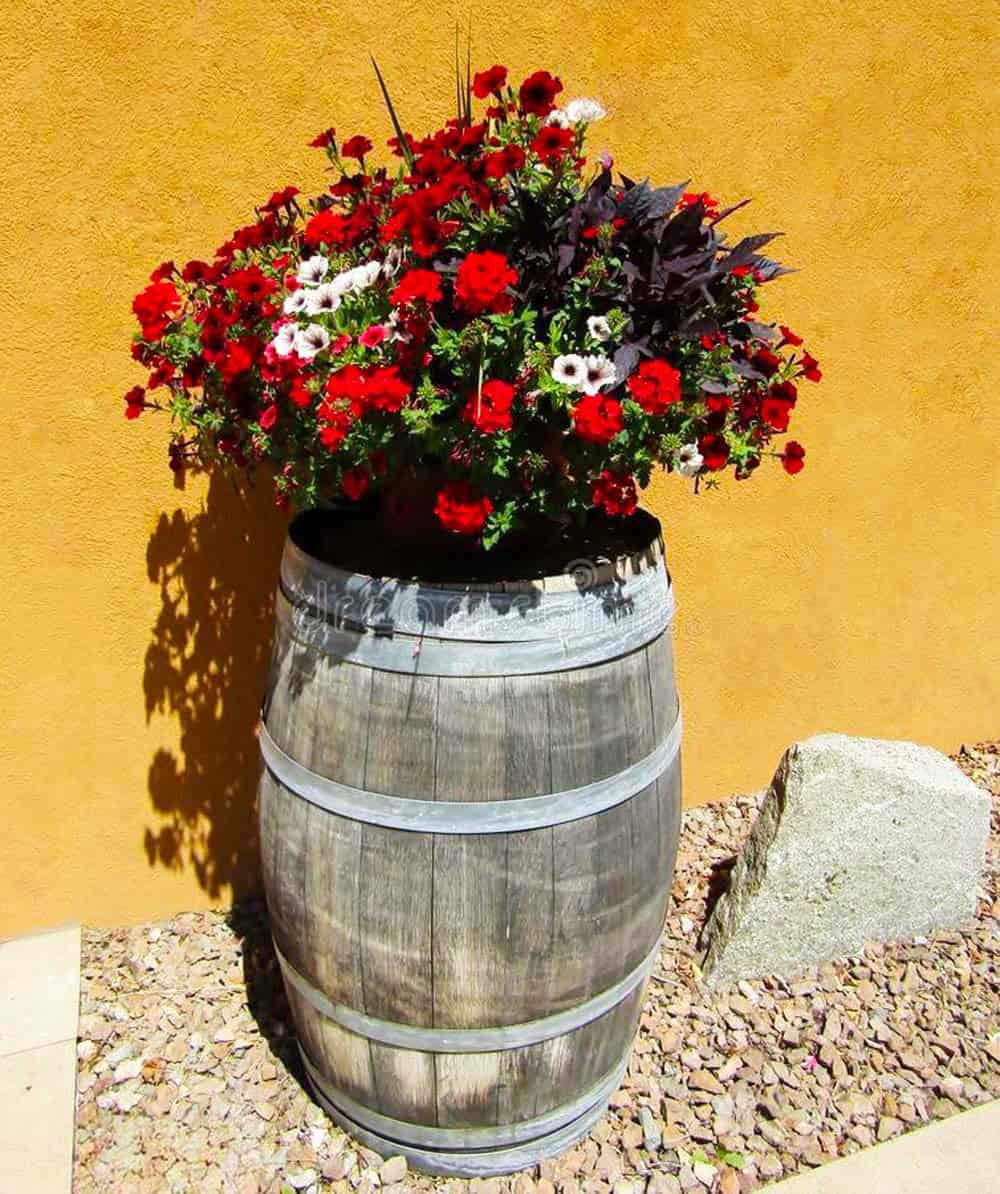 Barrel of Blooms