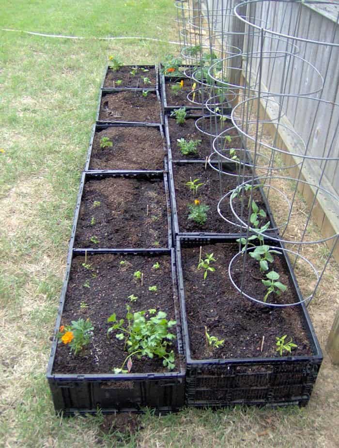 Create a Raised Garden with Rustic Crates