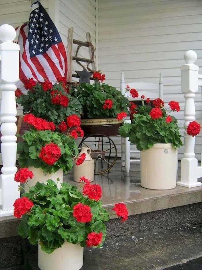 Patriotic Decoration with Red Geraniums