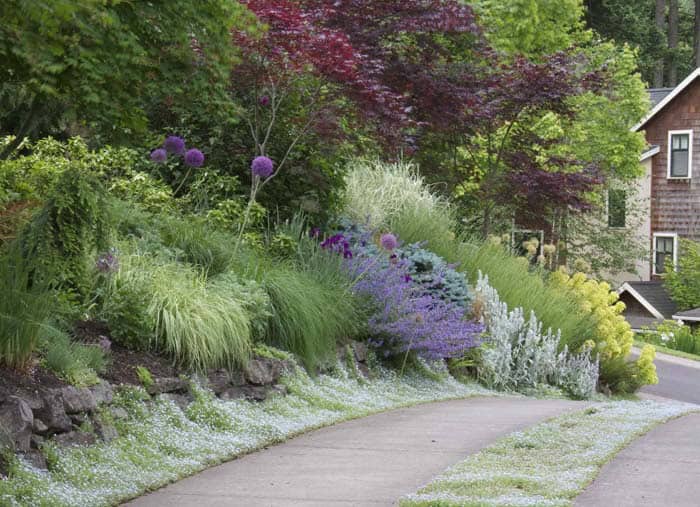 Layered Landscaping Creates a Wild Look