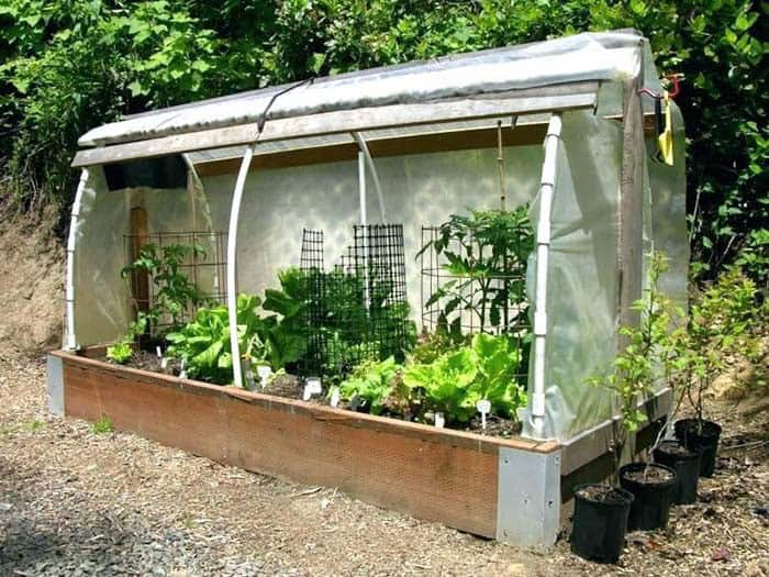 Green House Raised Bed